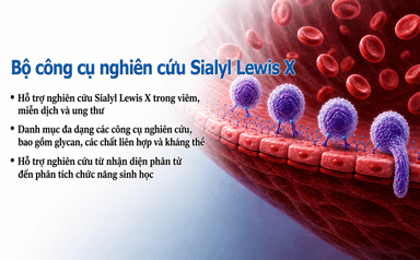 Bộ công cụ nghiên cứu Sialyl Lewis X (sLeX): Glycan, Glycoconjugate và Thuốc thử chức năng hóa