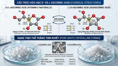 Axit Ascorbic (C6H8O6) là gì? Tổng quan về tính chất và ứng dụng